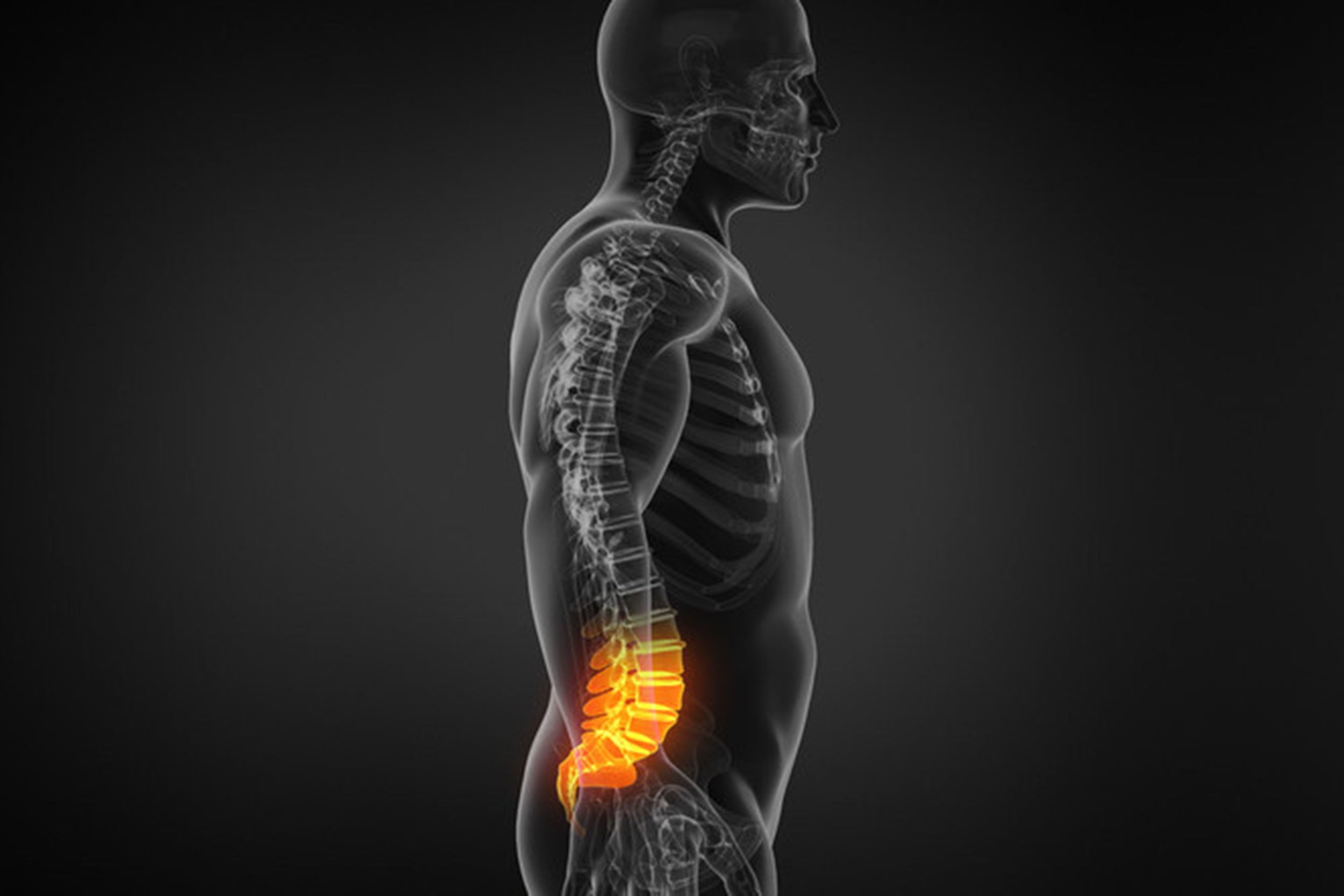 Back Pain: The Universal Language - What Causes My Spinal Pain?