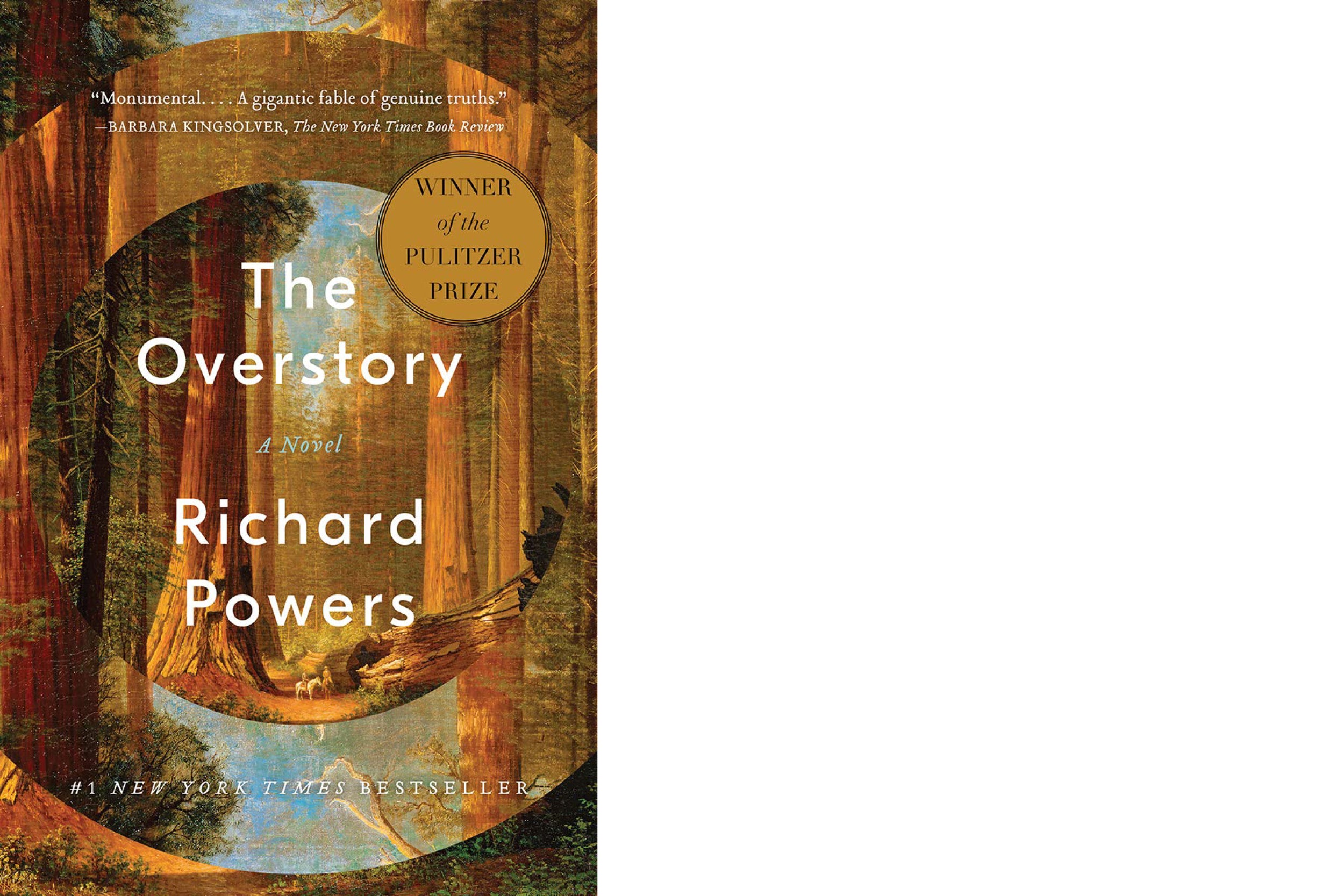 Book cover: “The Overstory” by Richard Powers.