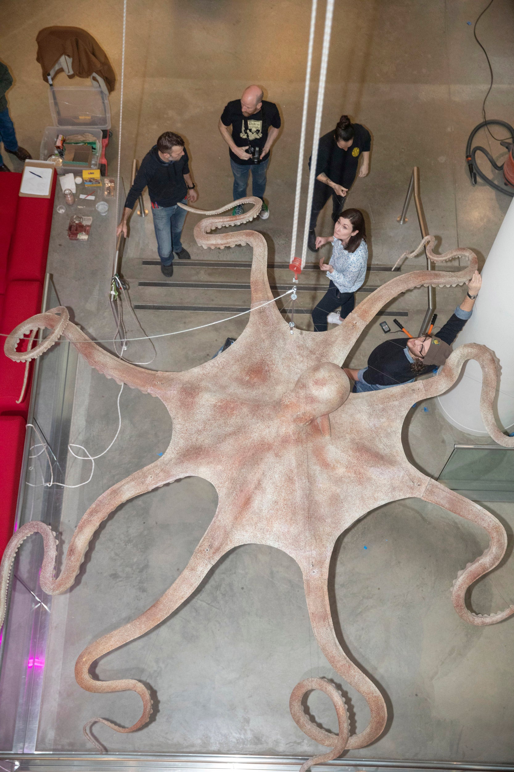 Paper Mache Octopus - amazing!  Paper mache sculpture, Paper