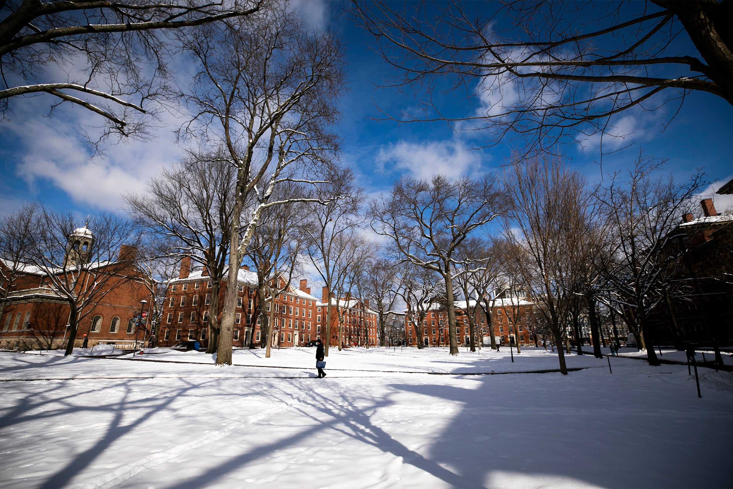 Harvard Yard in winter.
