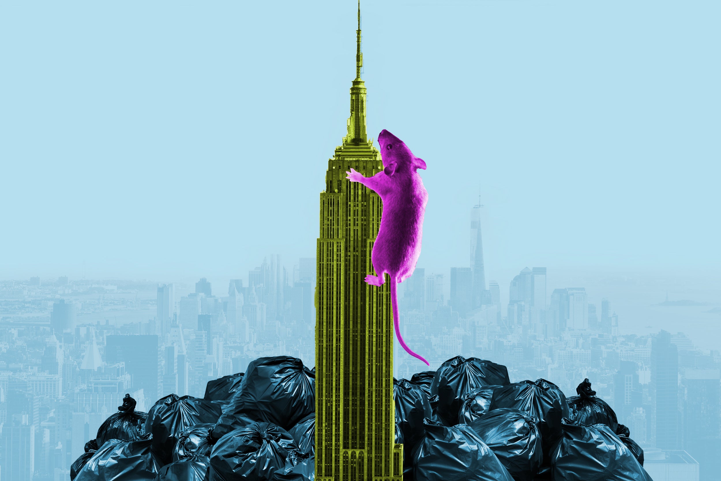Photo illustration of rat climbing Empire State building surrounded by piles of trash.
