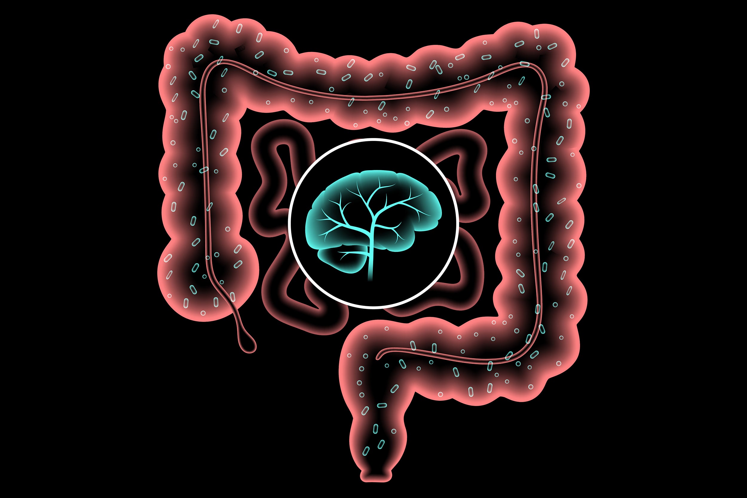 Illustration of gut brain connection and microbiome.