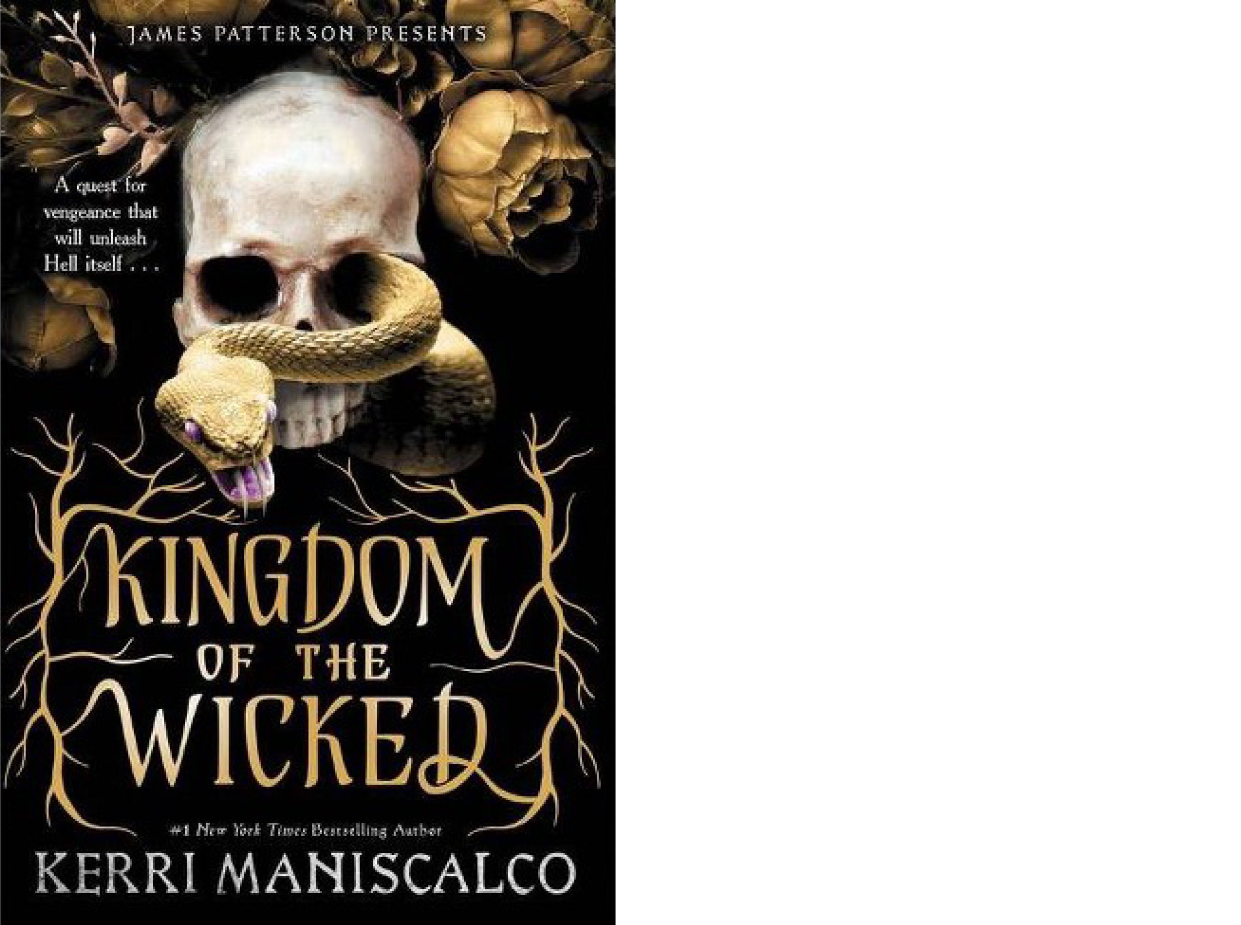 Book cover: "Kingdom of the Wicked."