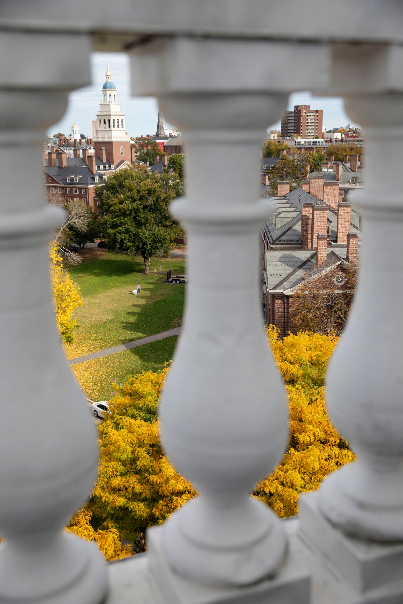 View of the MAC Quad and Lowell House from Eliot House tower.