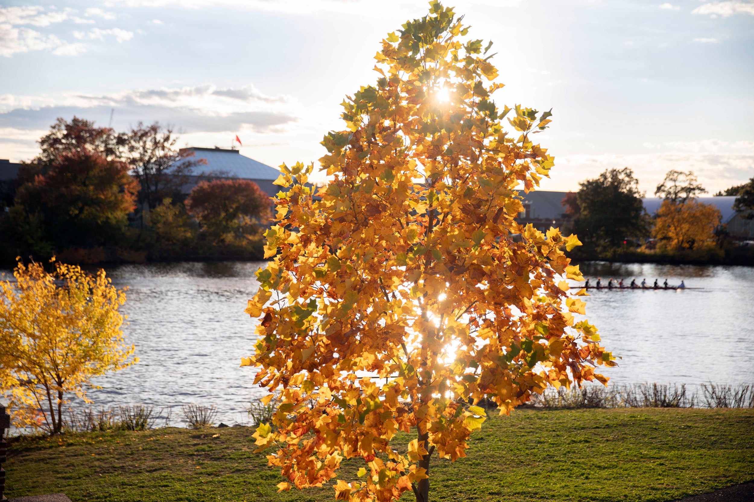 Bright orange foliage is pictured by the Charles River.