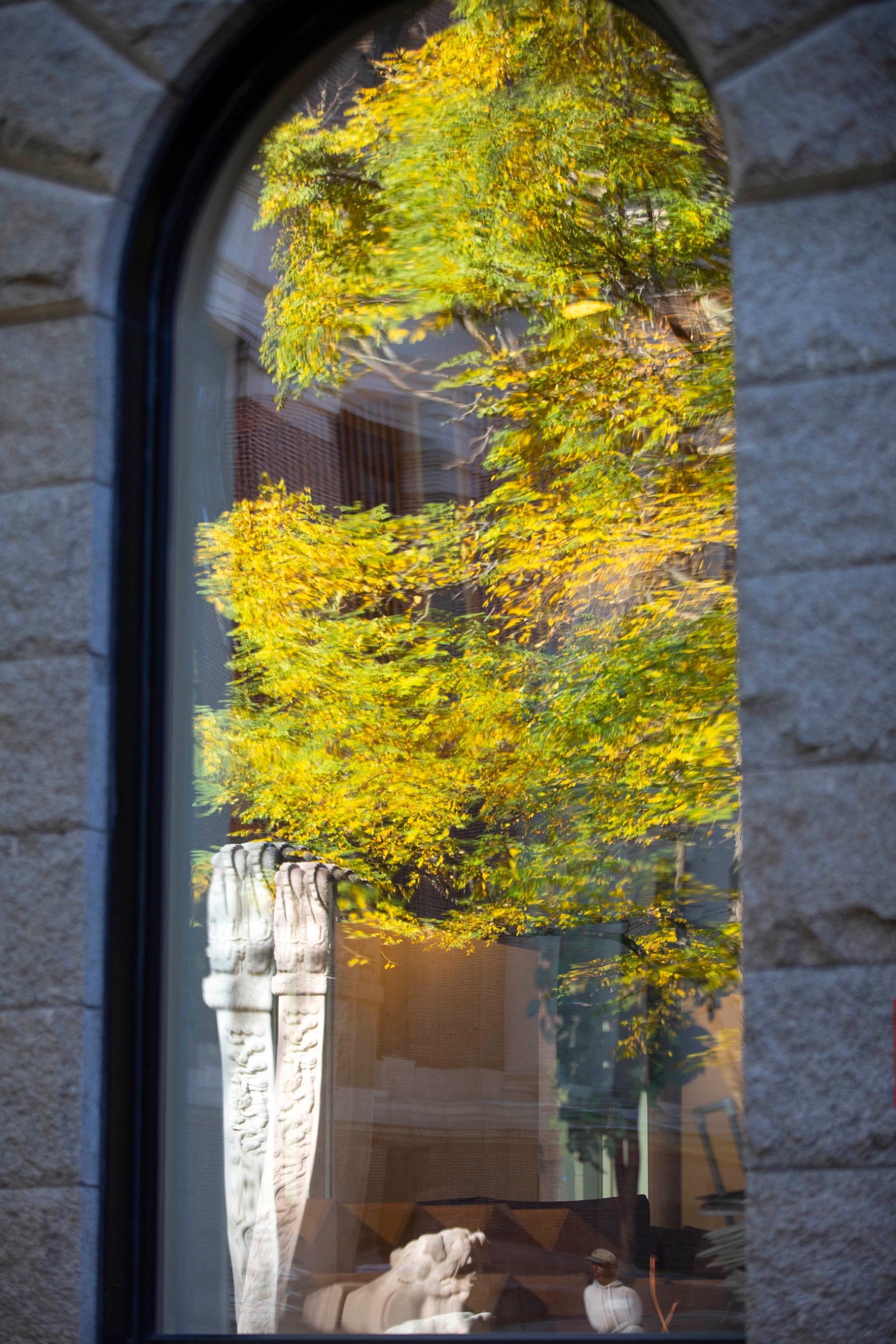 Fall colors are reflected in Boylston Hall windows.