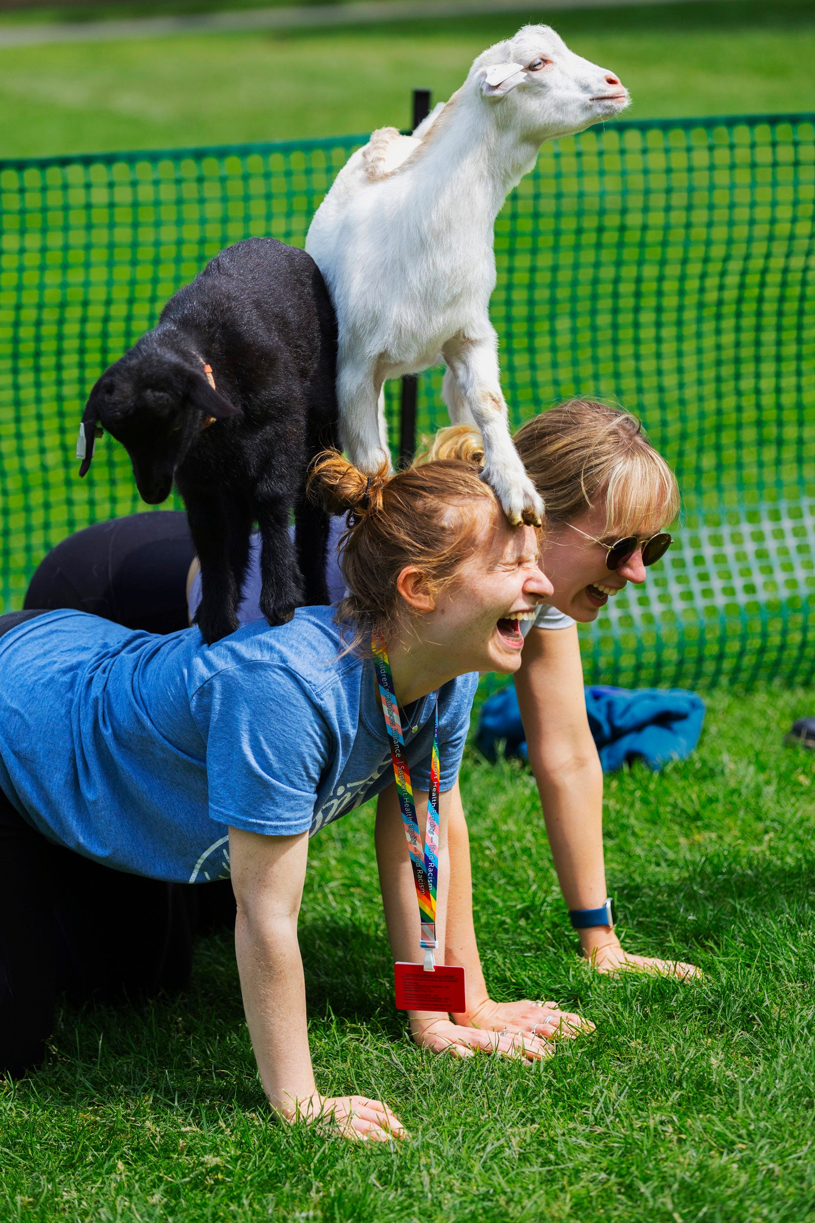 Goat standing on women's back for Goat Yoga on the QUAD.