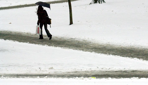 Snow in Harvard