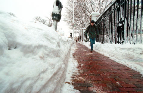 Parking meter buried in