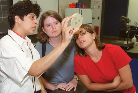 Science teachers examining petri
