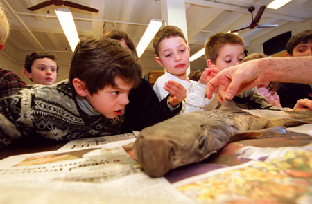 Kids at Harvard Museum of Natural