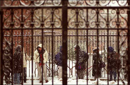Snow on library gates