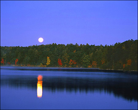 moonrise over Walden Pond
