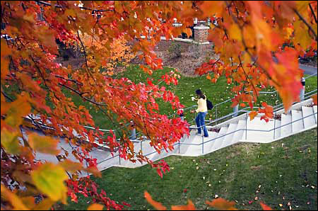 Carpenter Center stairs and