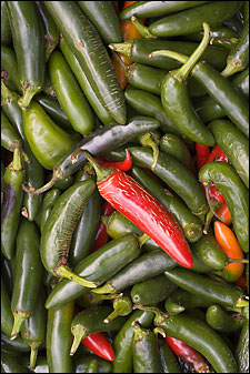 jalapeno peppers