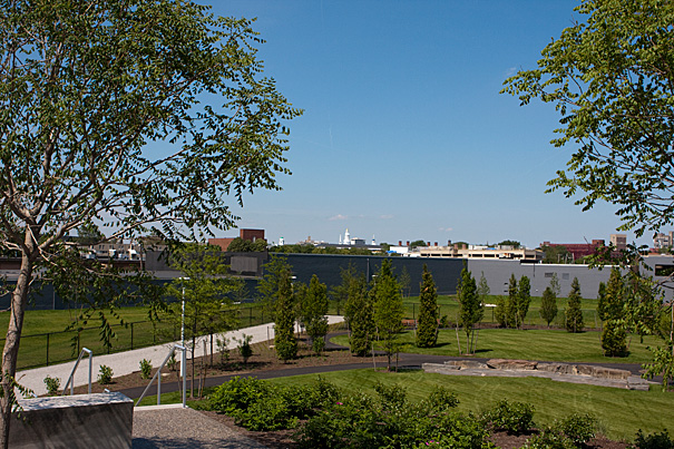 Allston’s new sustainable Library Park opens July 7 — Harvard Gazette