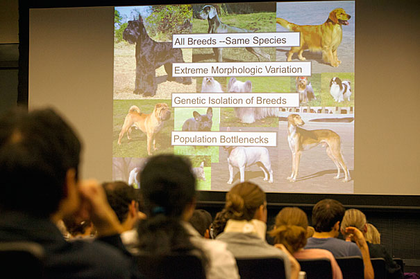 So doggone complicated — Harvard Gazette