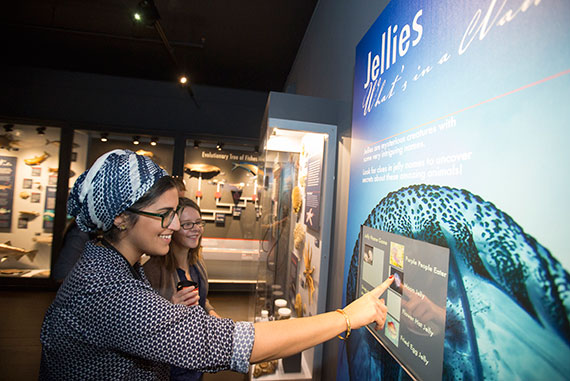 Harvard Extension School students Yosra Emamizadeh '15 (left) and Ashley Martin '13 check out the new gallery. 