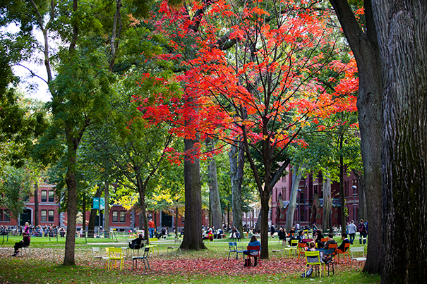 First Admissions To Class Of ’20 — Harvard Gazette