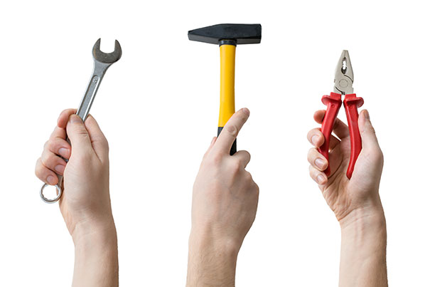 Hand-tool connection is innate despite lack of limbs — Harvard Gazette