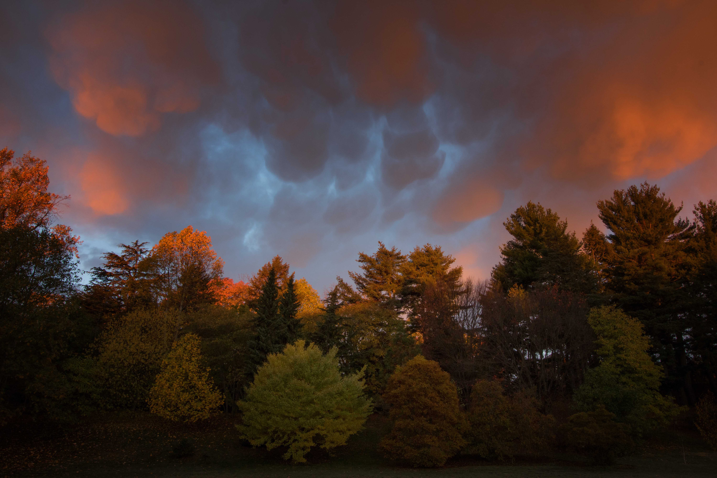 Fall foliage, orange sunset.