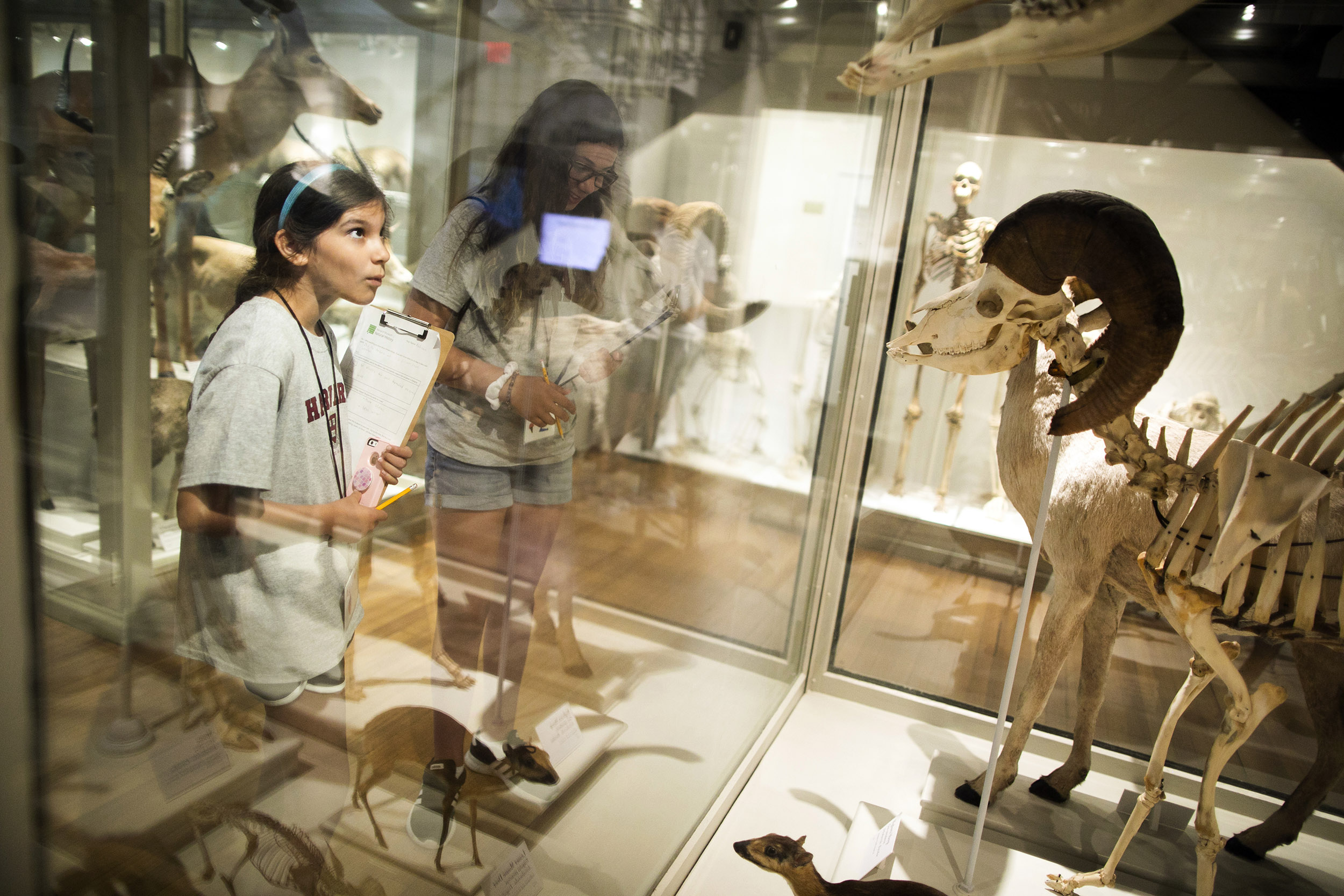 Addison Rich and Olivia Pappas explore some of the wonders at the Harvard Museum of Natural History.