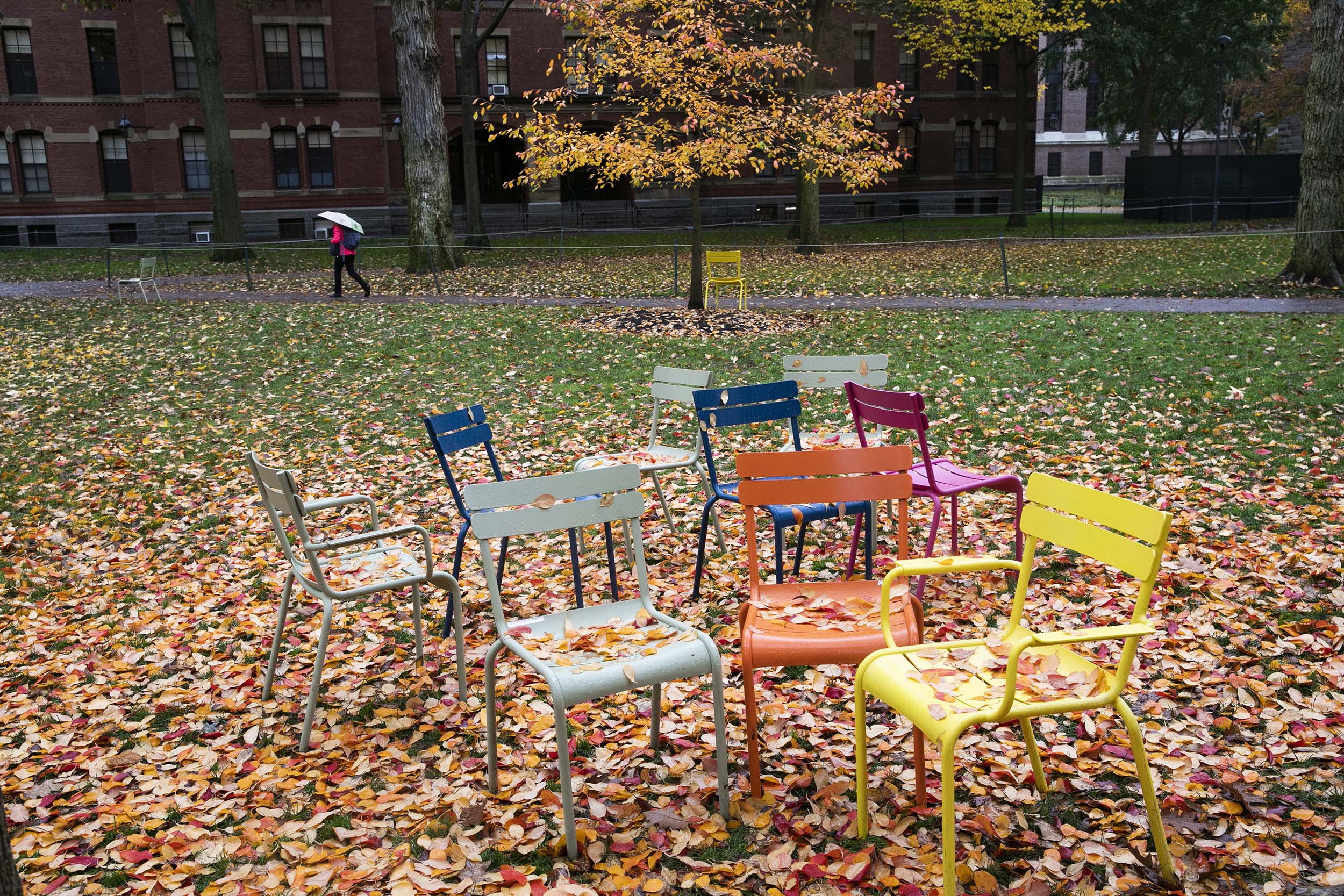 Empty chairs in Harvard Yard, littered with autumn leaves.