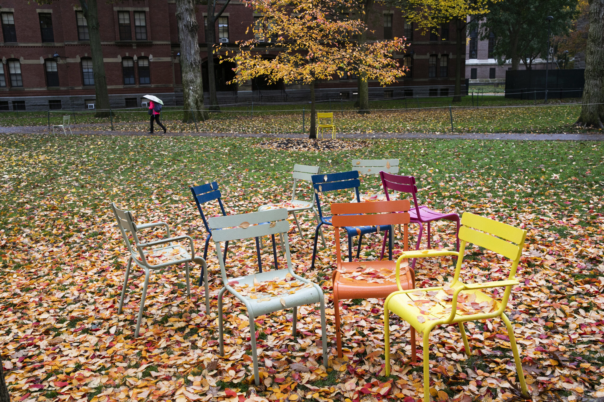 Colorful chairs in Harvard yard.