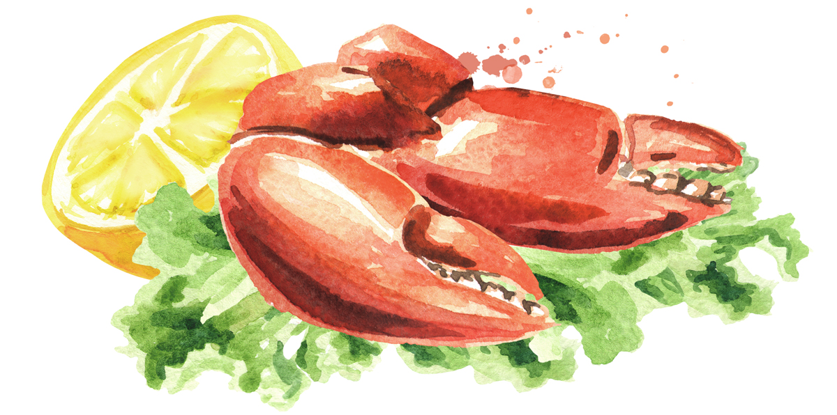 Illustration of crab legs on lettuce with lemon.