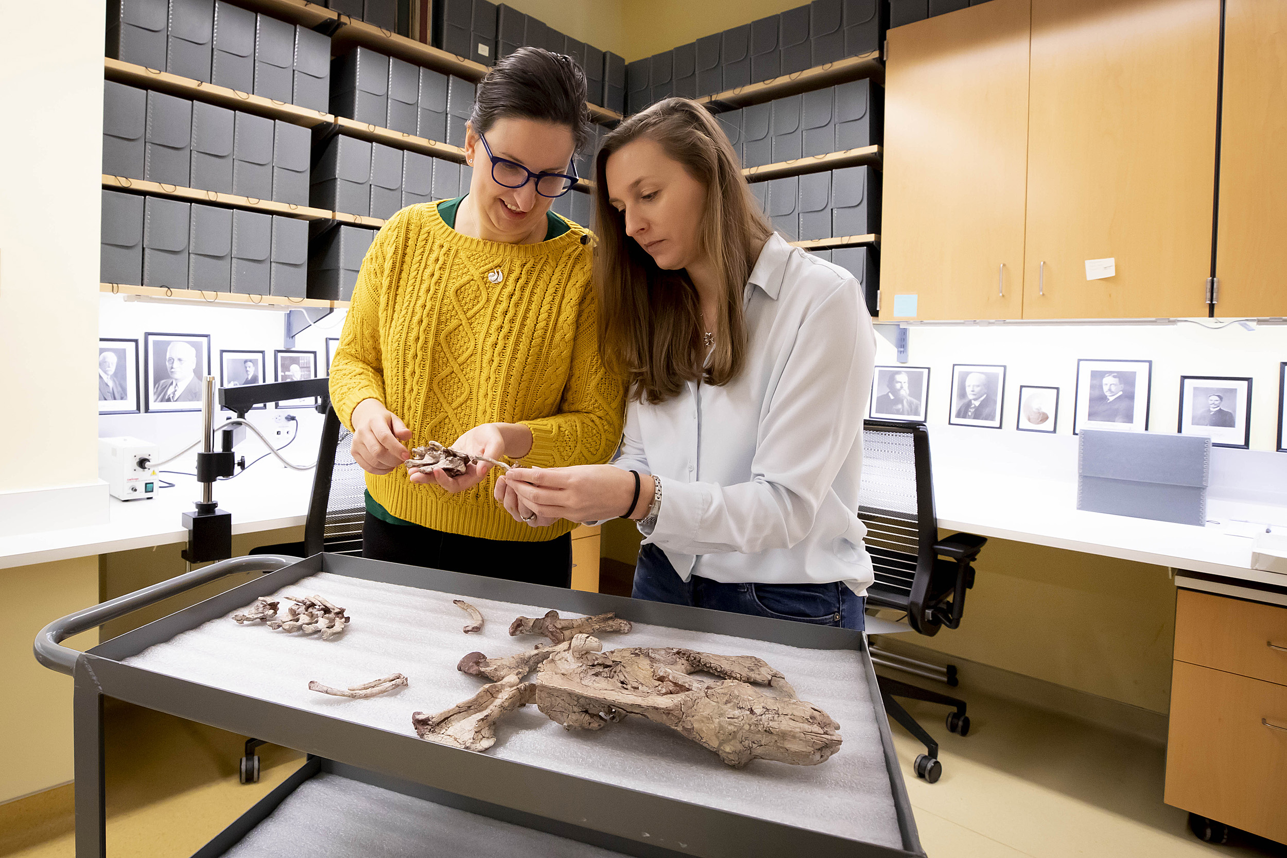 Katrina Jones and Stephanie Pierce examining animal bones.