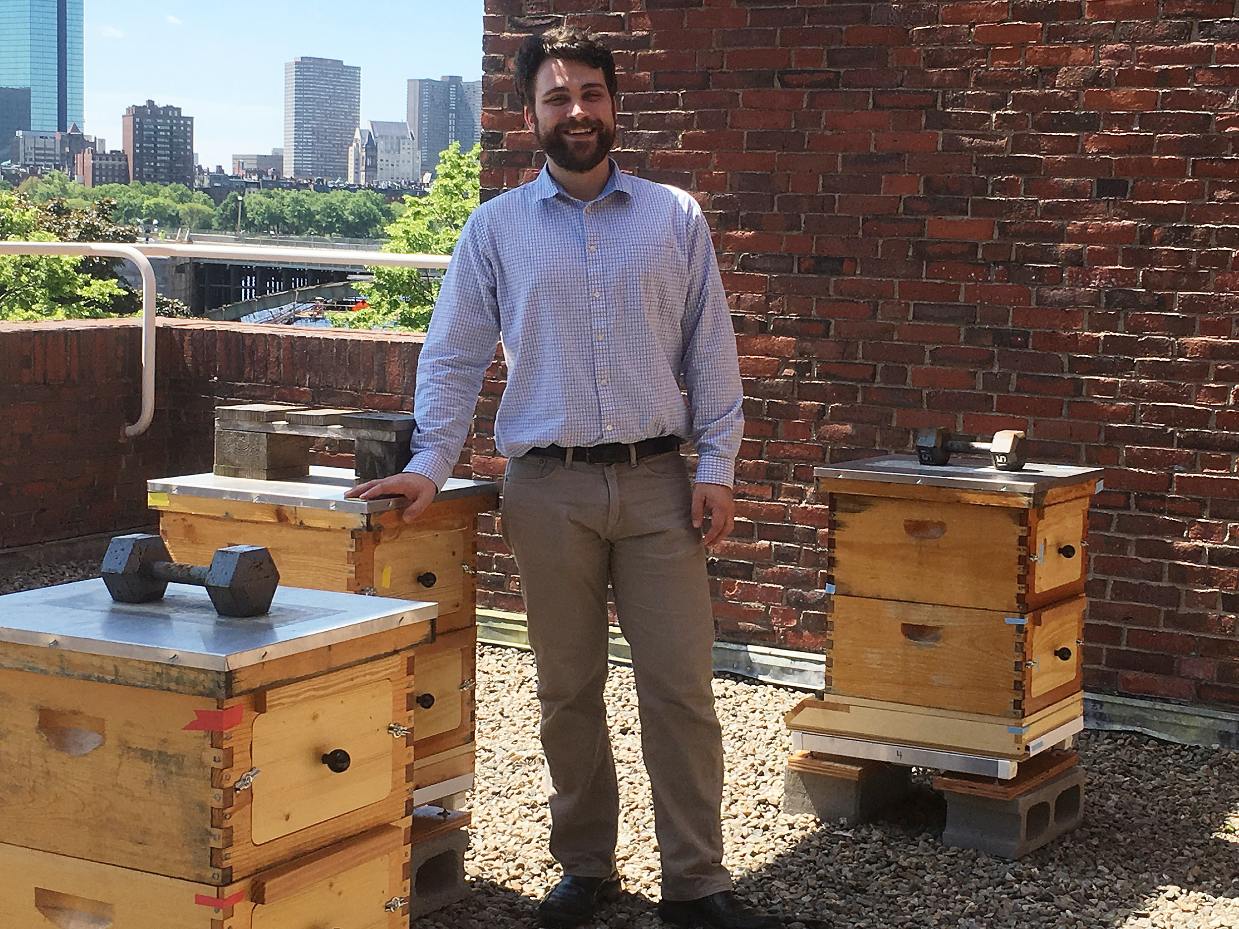 Researcher on roof with beehives.