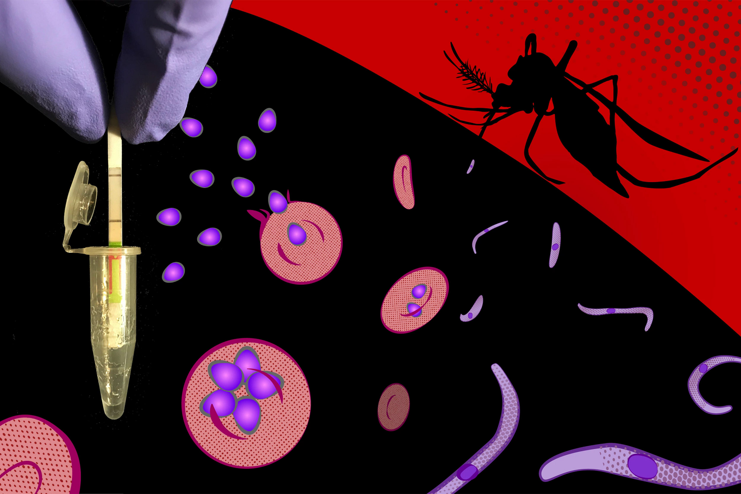 Malaria Diganostic illustration.