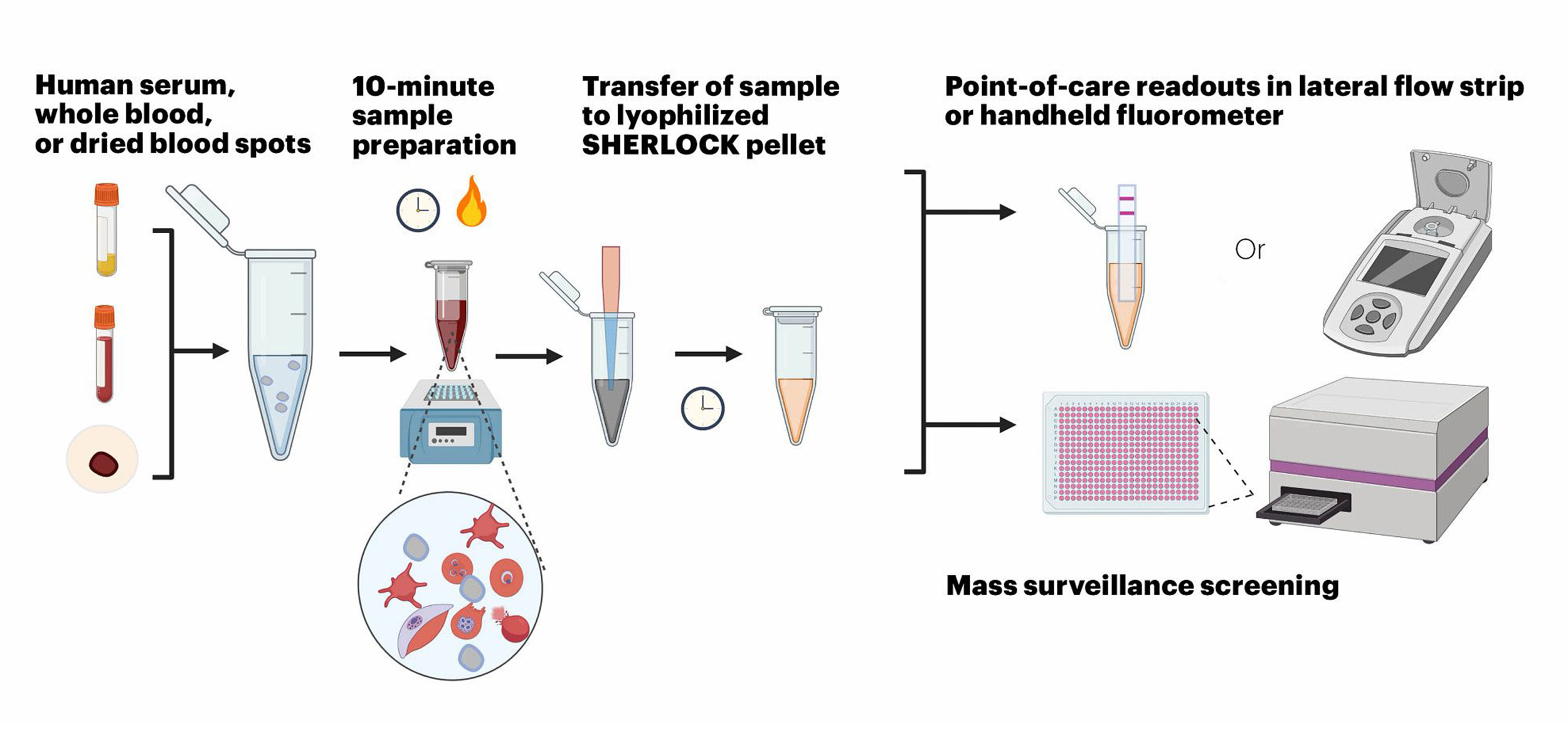 SHERLOCK Malaria Diagnostic Fig1