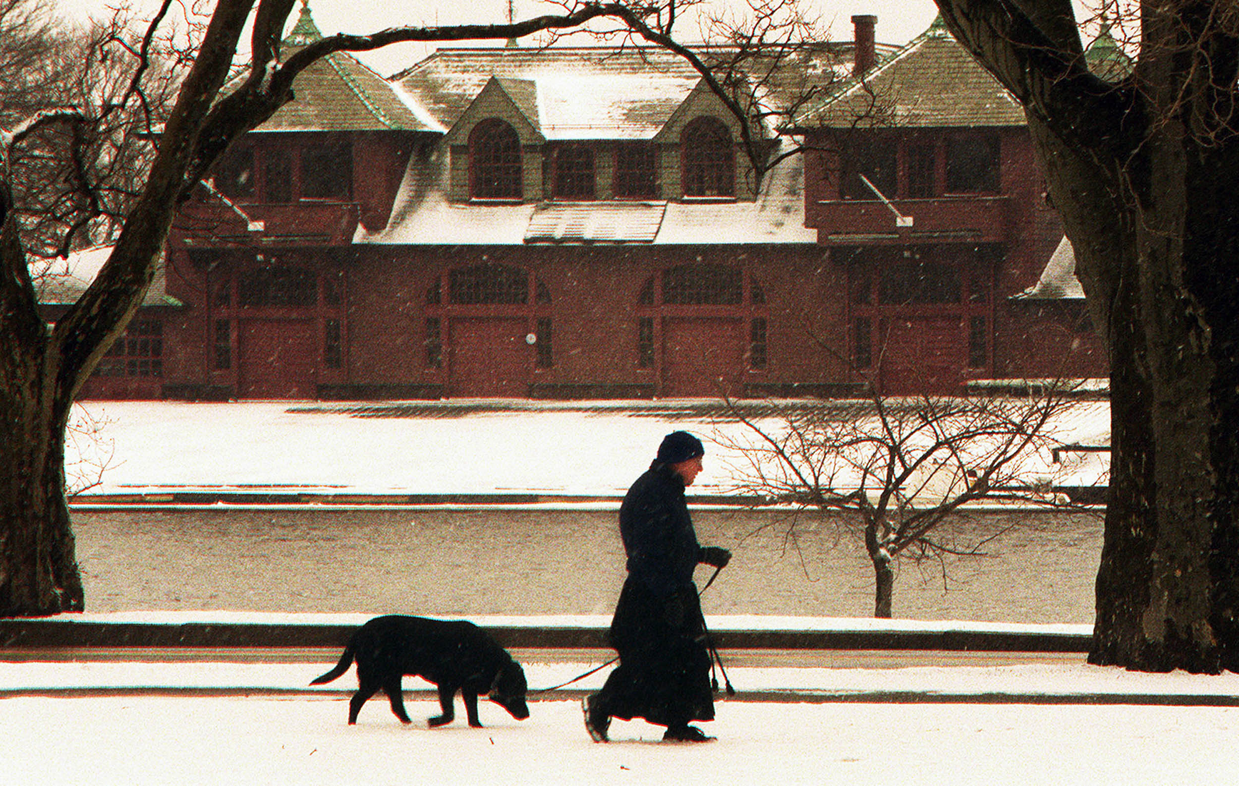 Walking a dog in snowy March.
