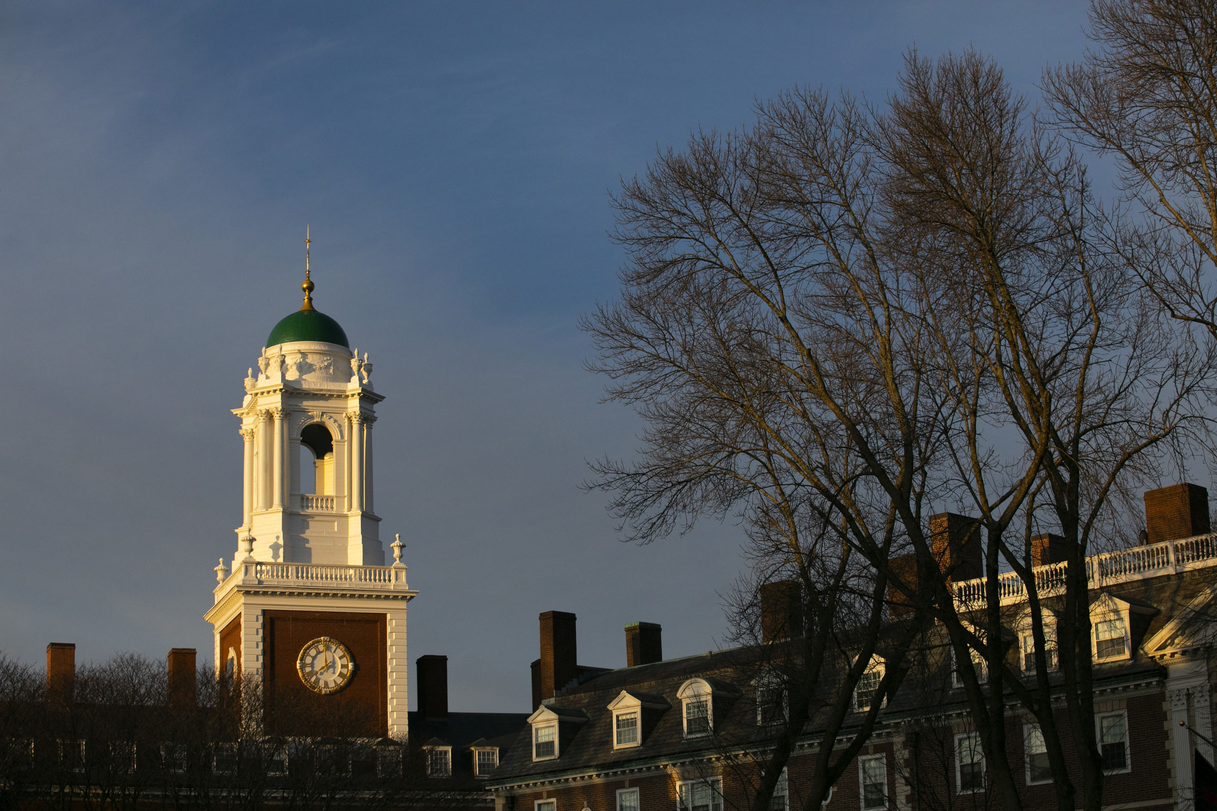 The cupola with green dome of Eliot House is pictured.