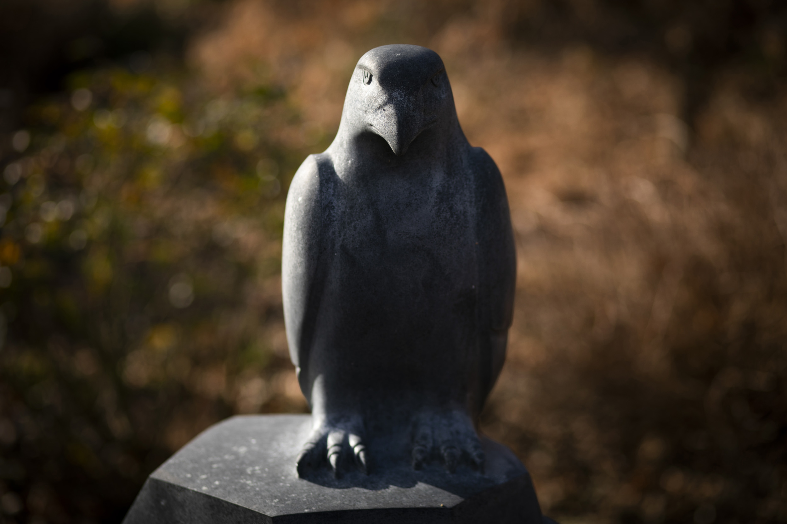 A hawk sculpture decorates the Nieman Foundation garden.