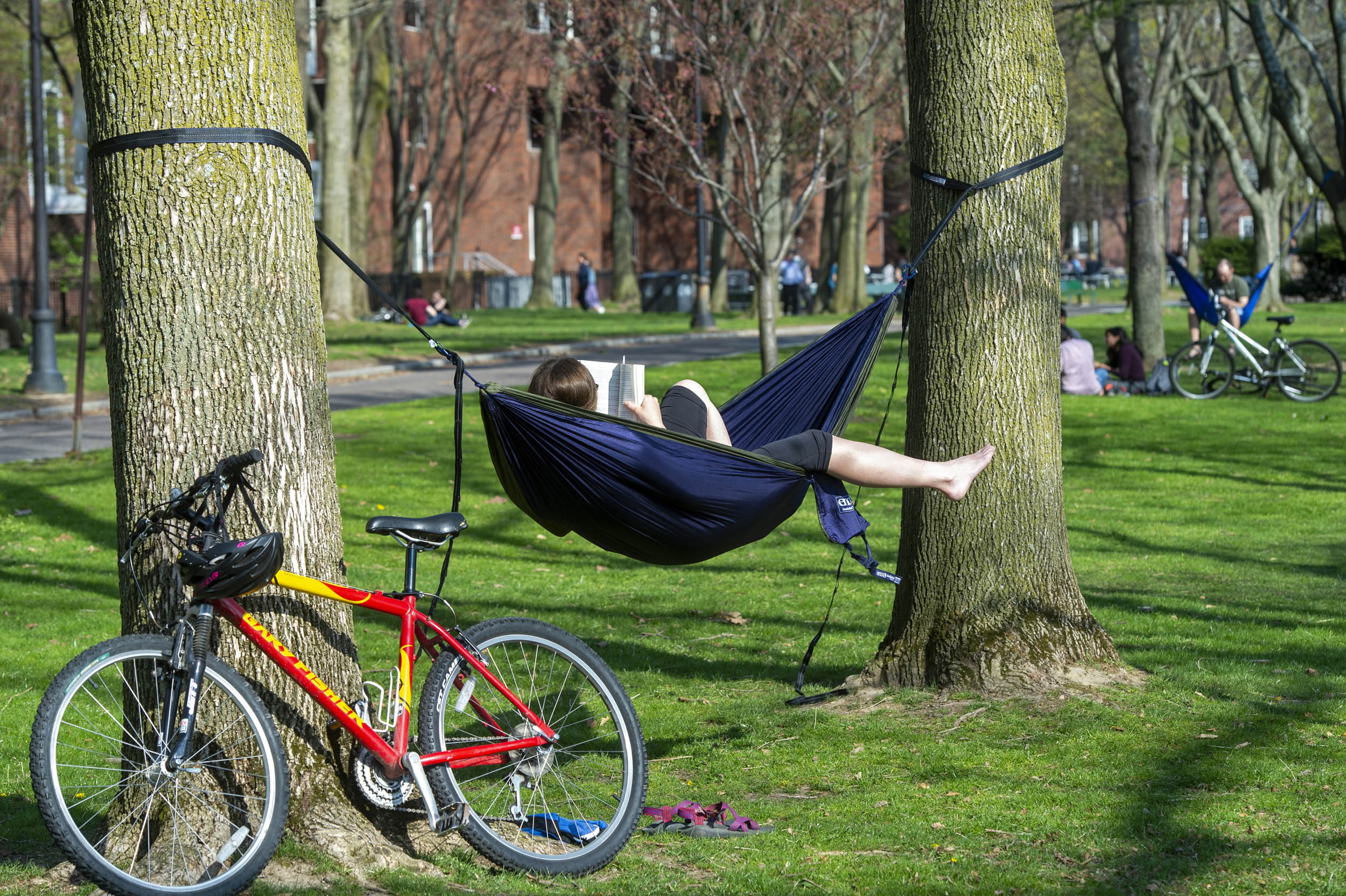 Melissa Moore relaxes in her hammock on the lawn next to Memorial Drive.