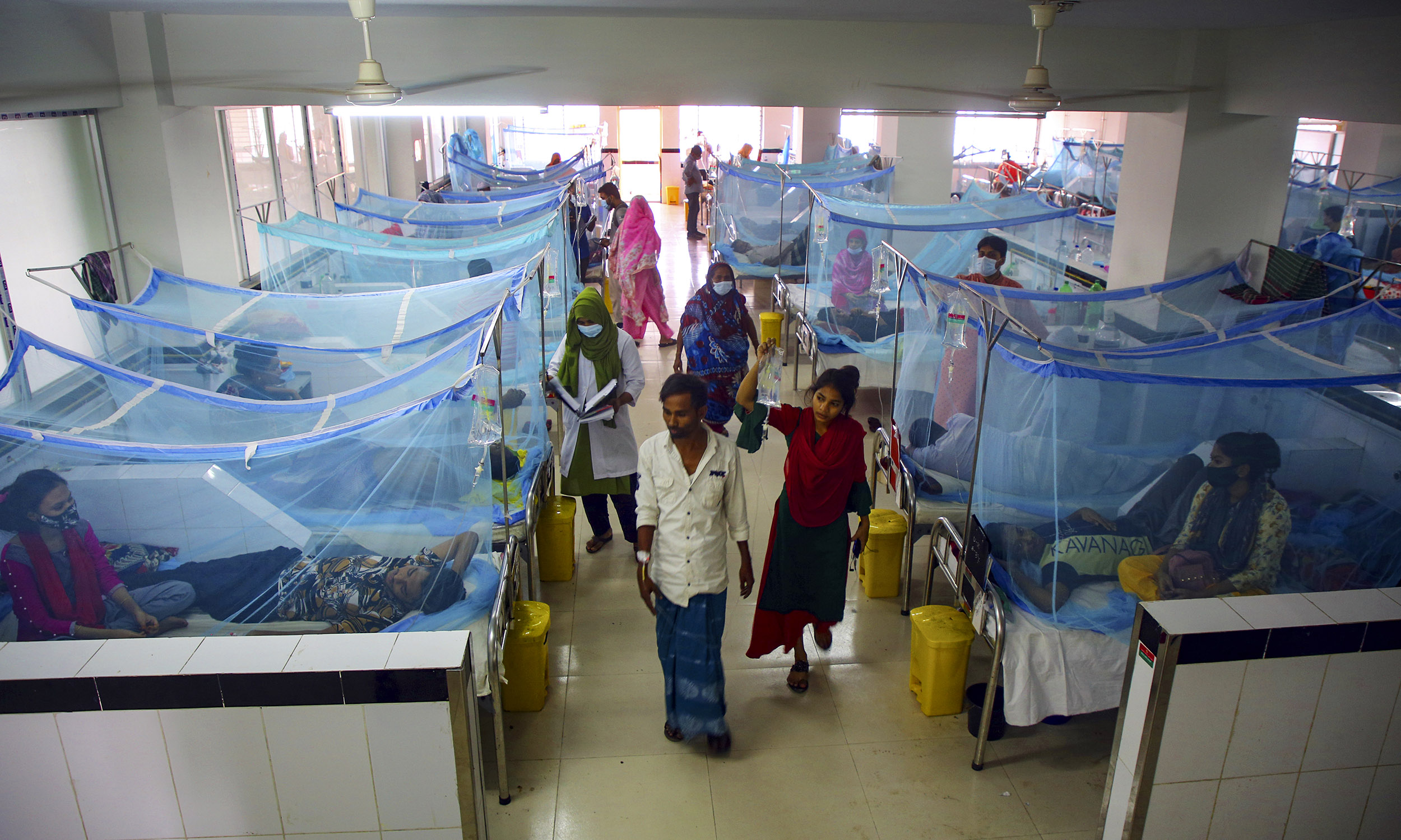 Patients lie under mosquito nets in Dengue ward in Bangladesh.