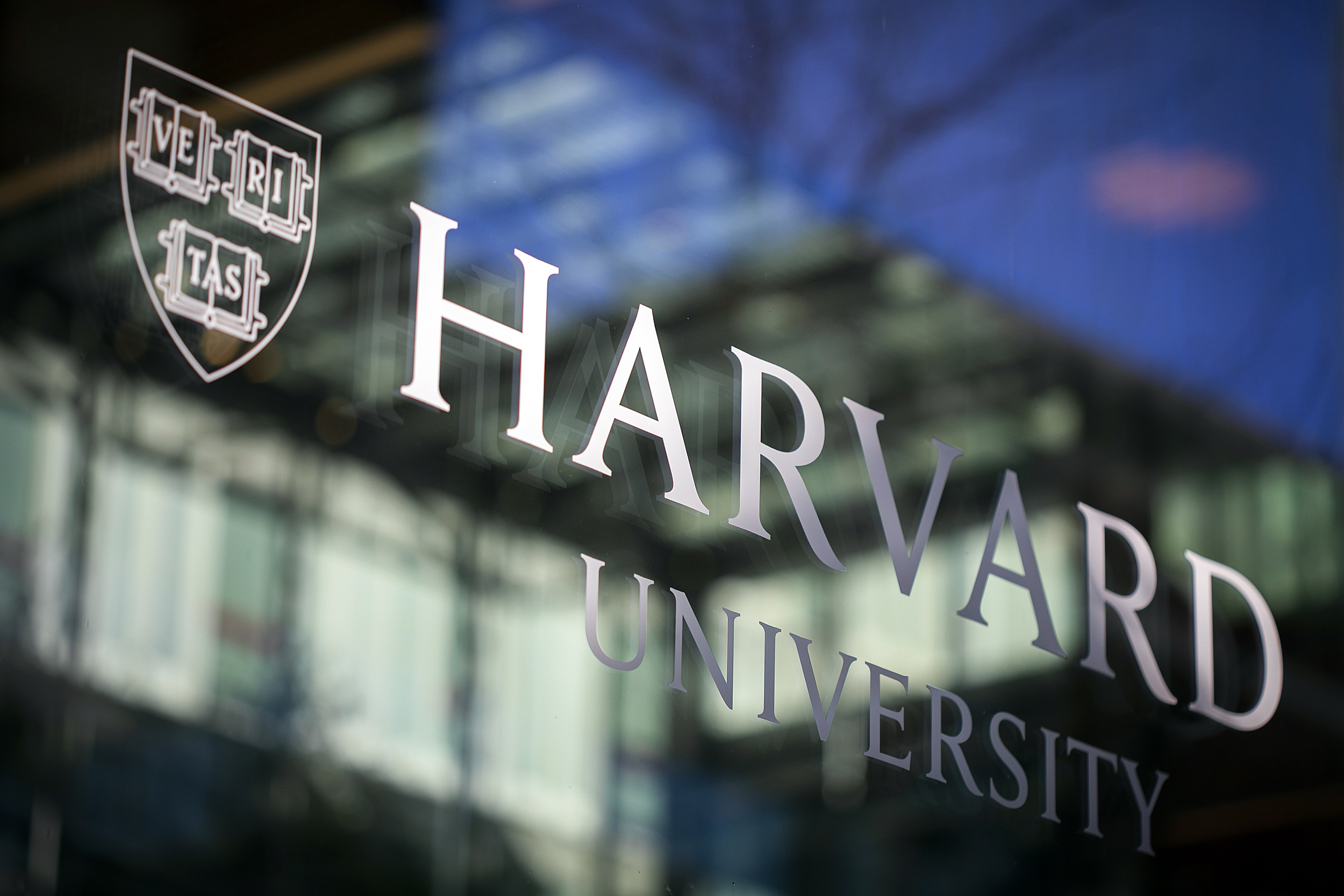 Startup internships ‘reward curiosity’ — Harvard Gazette