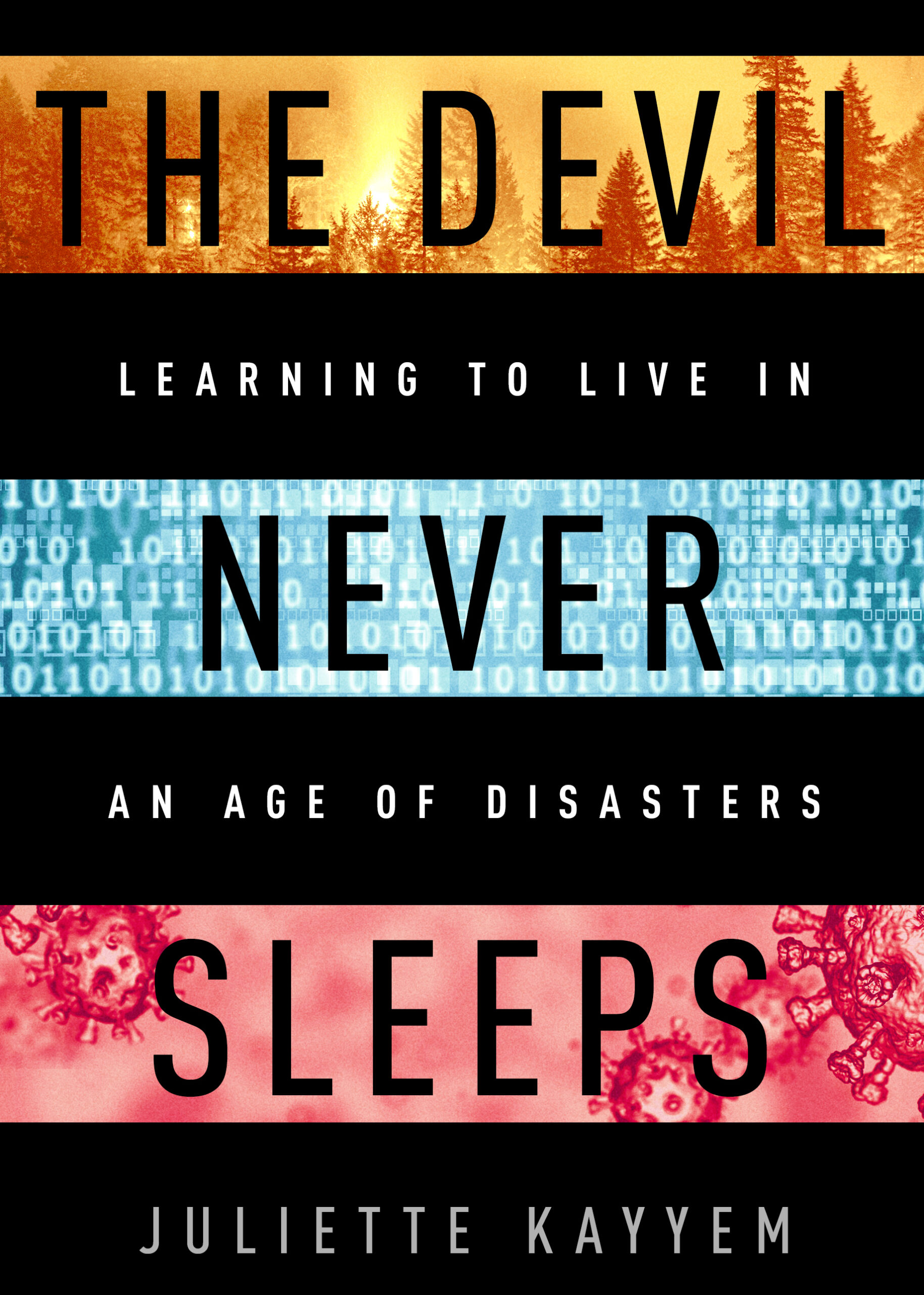 The Devil Never Sleeps book cover.