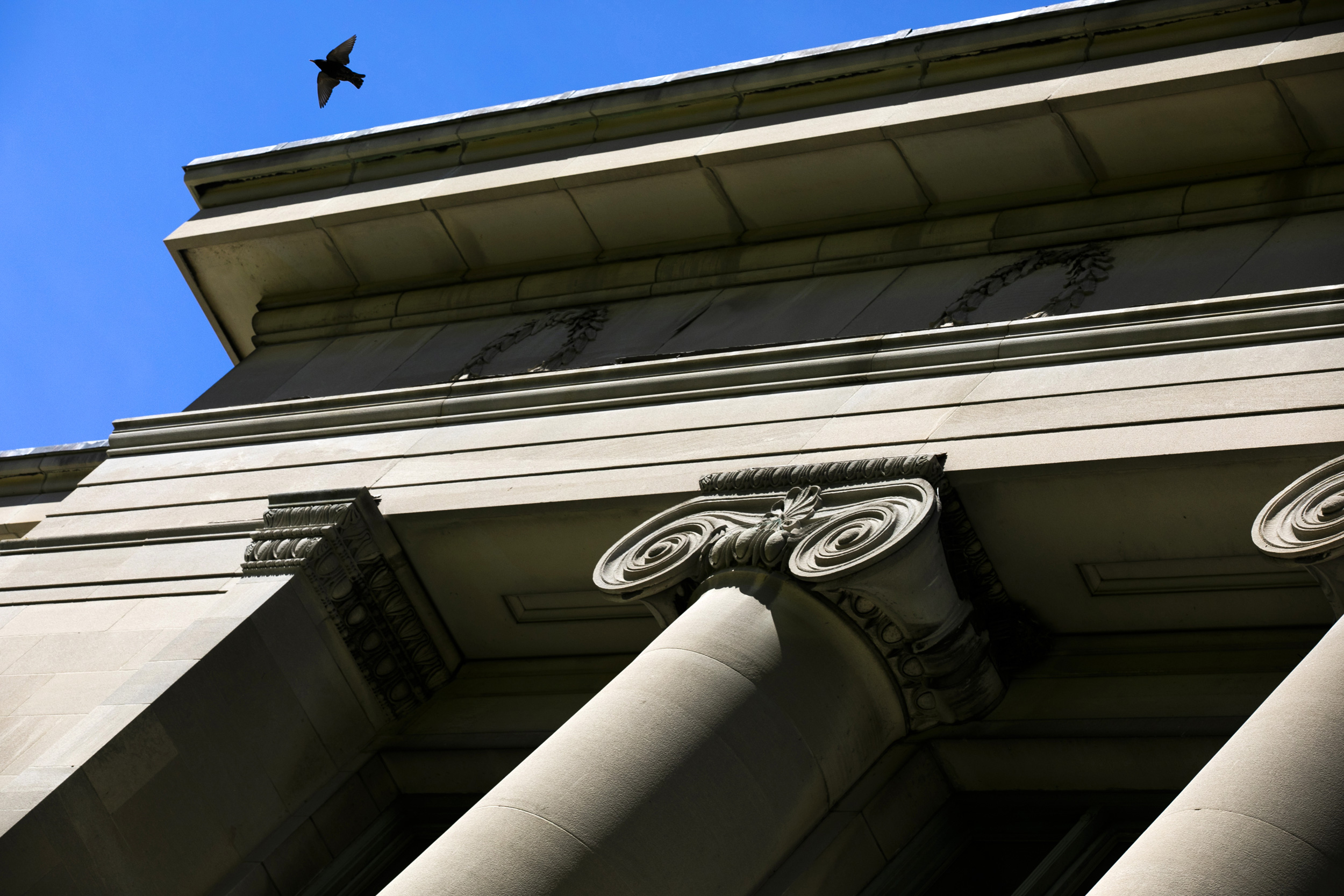 A bird takes flight over Langdell Hall at the Law School.