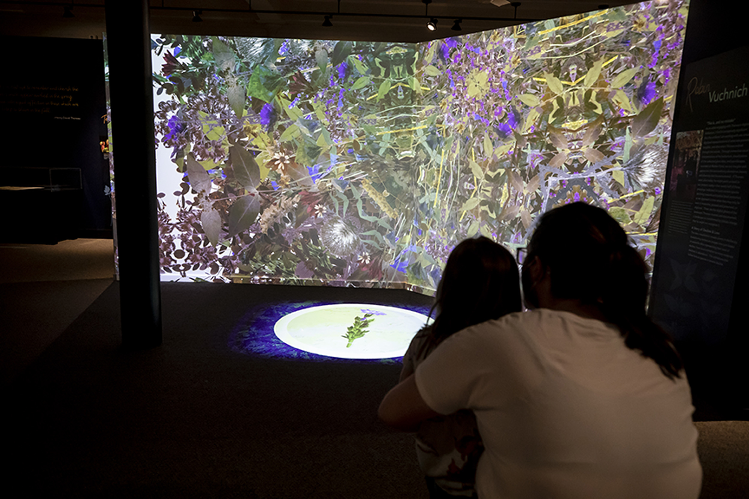 “In Search of Thoreau’s Flowers: An Exploration of Change and Loss,” exhibbition with screens and flora.