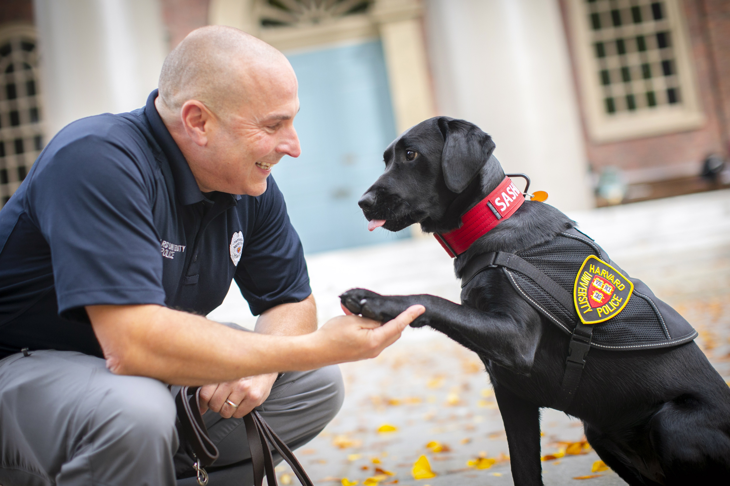 Sasha extends paw to Officer Steven Fumicello.