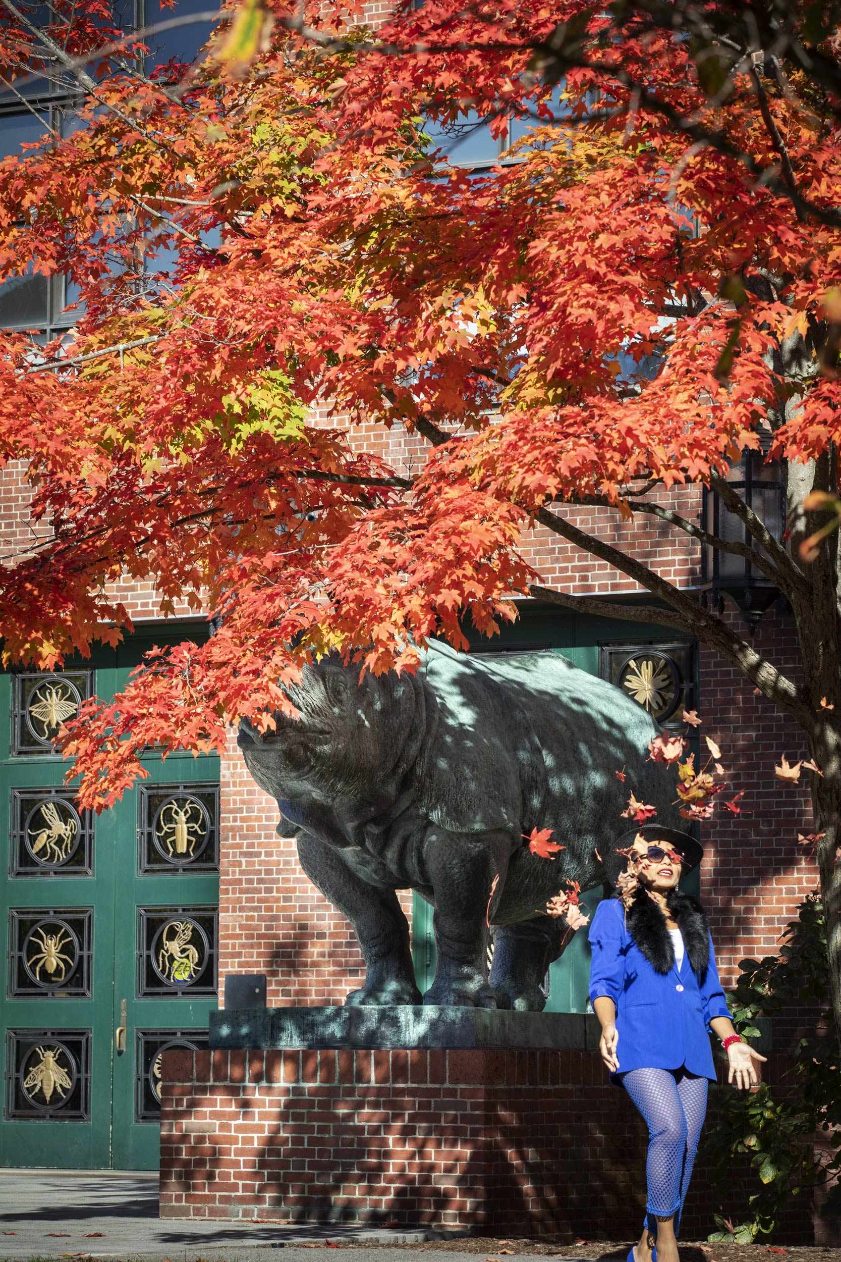 A woman throws autumn leaves into the air alongside one of two life-sized bronze sculptures that flanks the entrance to the Department of Molecular and Cellular Biology.
