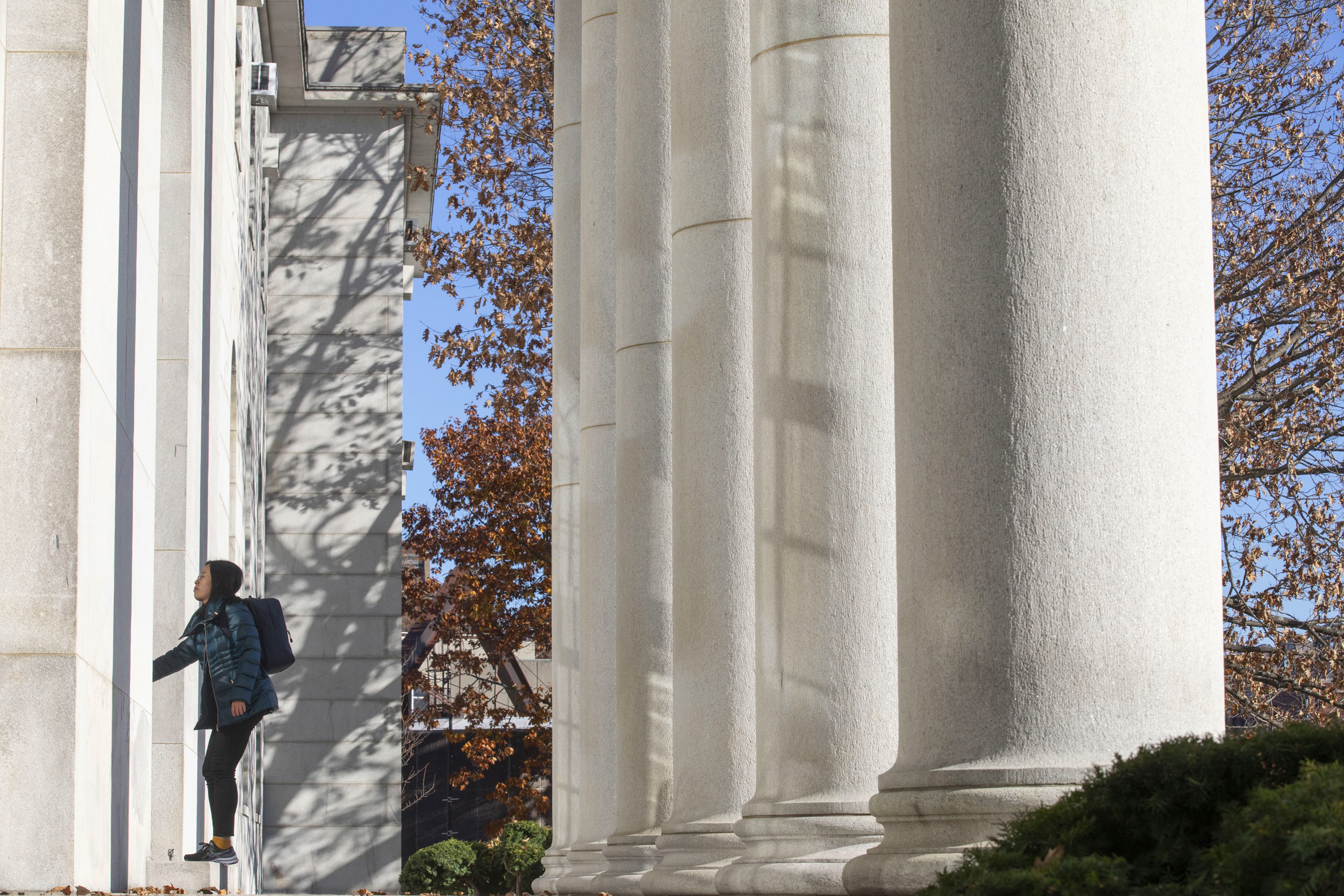 Imposing columns are pictured outside Littauer Center.