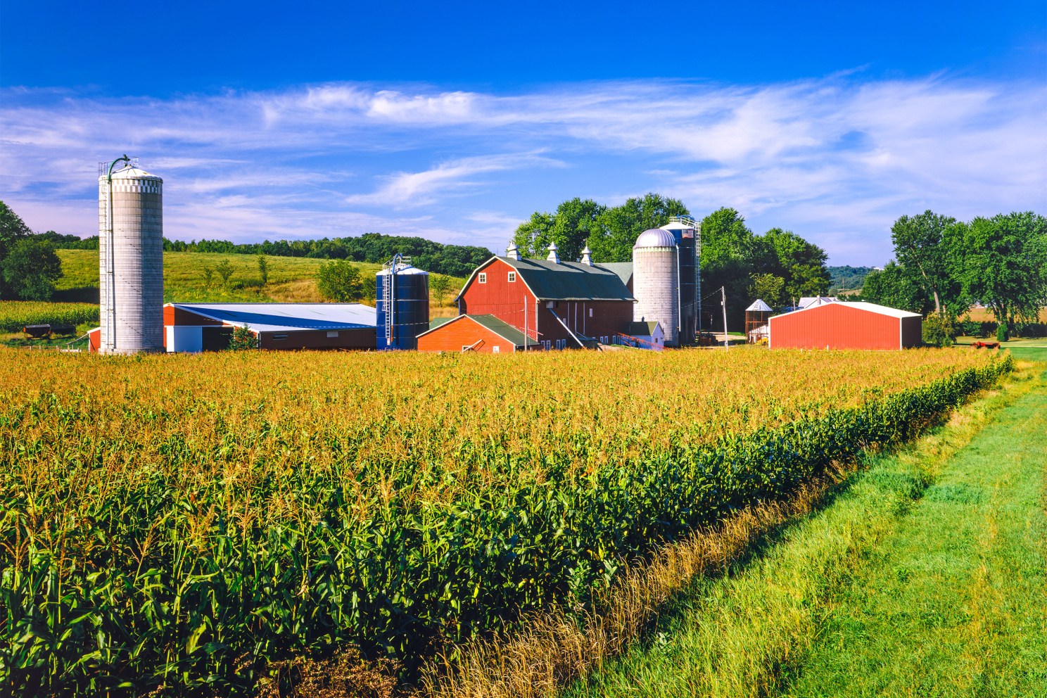 An Iowa farm.