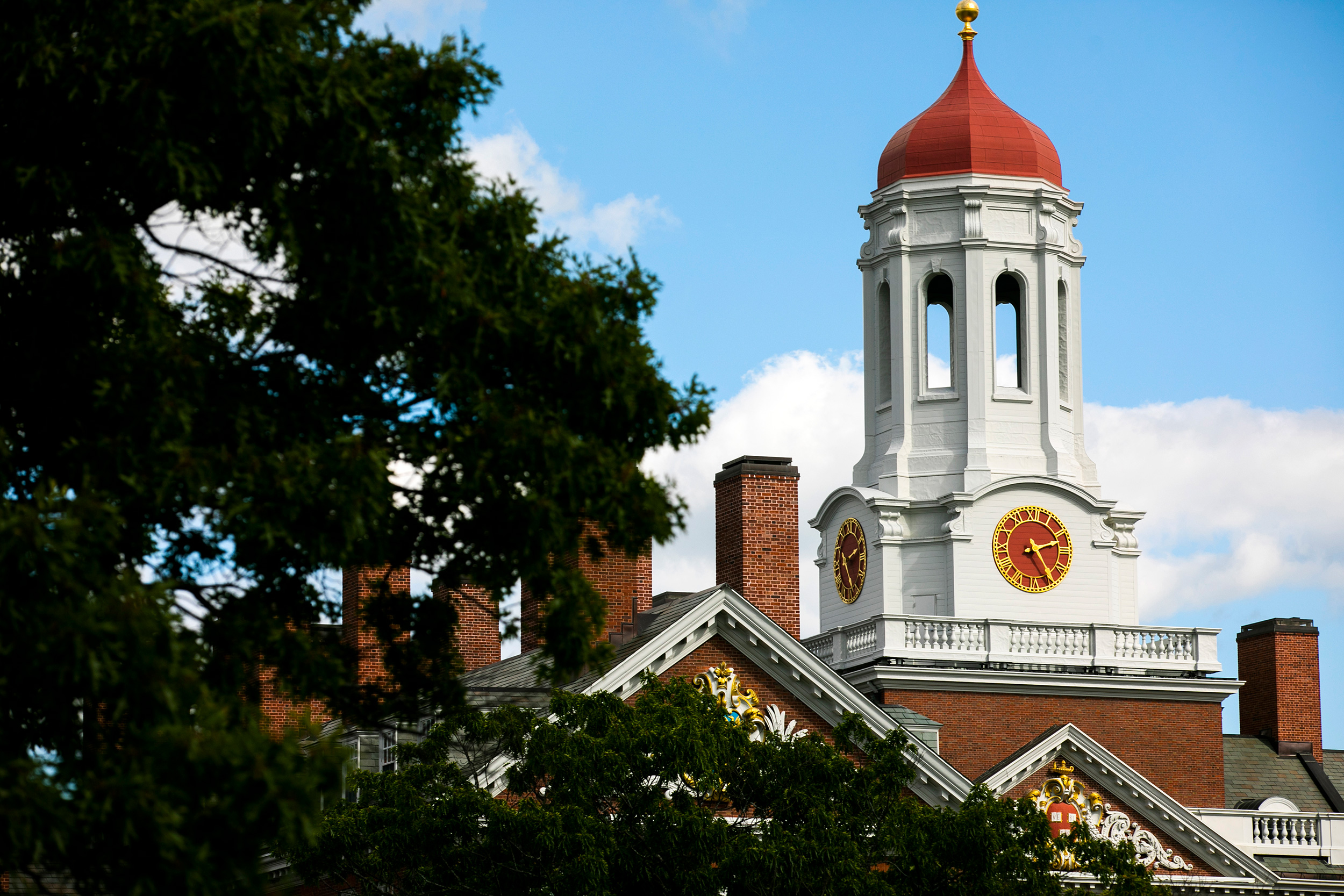 Five Faculty Named Harvard College Professors — Harvard Gazette