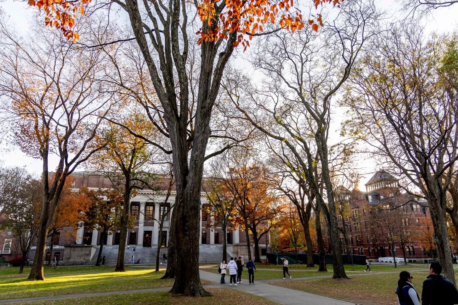 College sees strong yield for students accepted to Class of 2028 ...