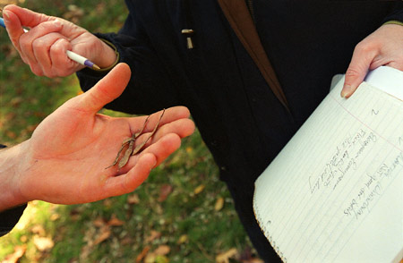 Students study tree