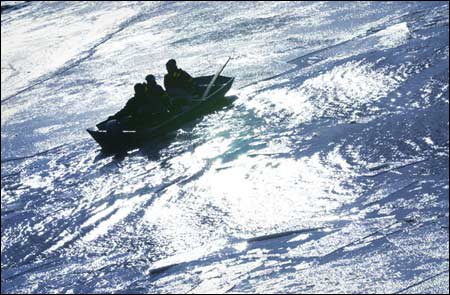 Rowers on the frigid